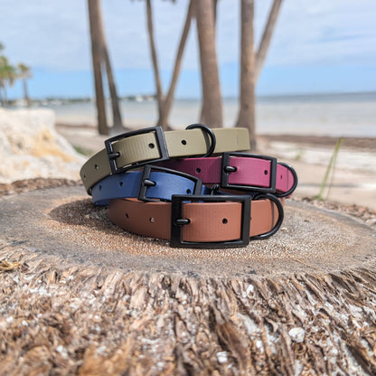 Set of dog collars in various colors on a palm tree stump with a beach background. The collars all have black hardware and are made with waterproof biothane