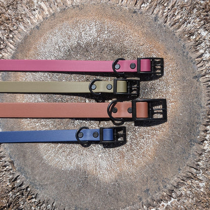 Four dog collars in maroon, olive green, brown, and navy blue laying flat on a palm tree stump. All collars have a stunning black hardware