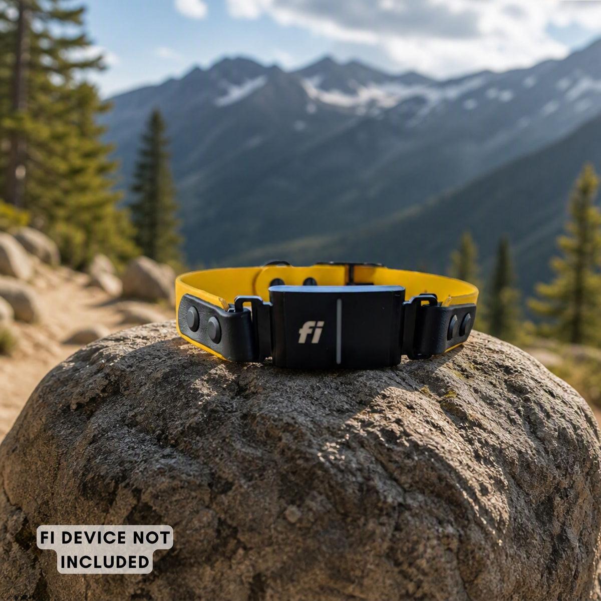 A yellow and black Fi compatible biothane collar resting on a large rock in a mountain forest setting. The collar is made with black hardware.