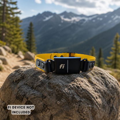 A yellow and black Fi compatible biothane collar resting on a large rock in a mountain forest setting. The collar is made with black hardware.