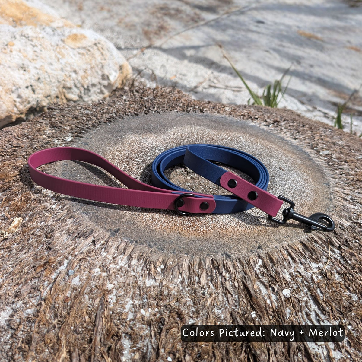 Navy and merlot dog leash on a palm tree stump with a natural beach background. Biothane