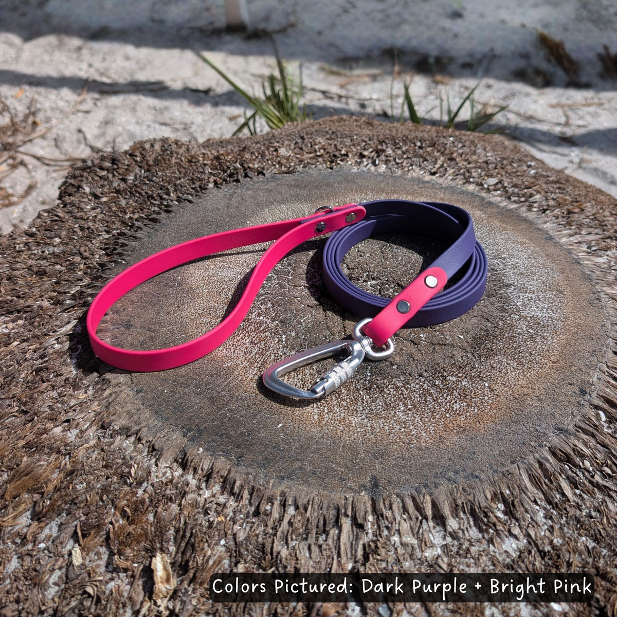 Two tone biothane dog leash, dark purple bright pink, on a palm tree stump with a natural background. The leash has a carabiner style clip.