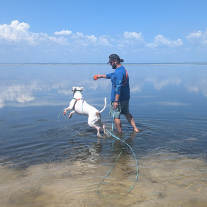 Man playing with a dog in shallow water on a sunny day. They are using a light blue long line leash made with Biothane