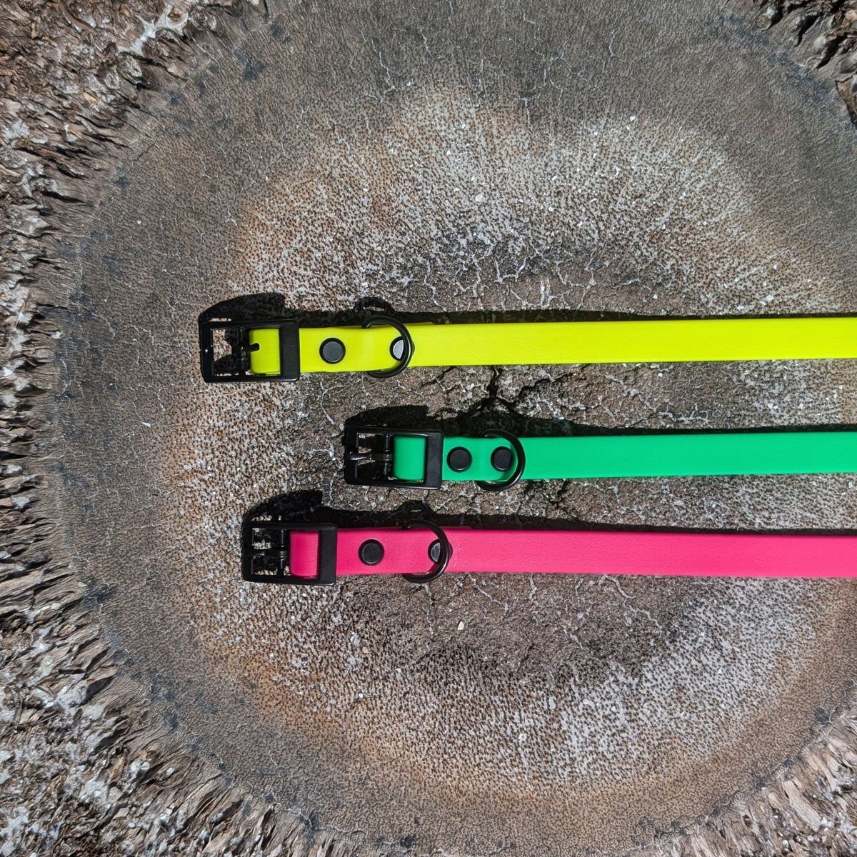 Three bright colorful dog collars (green, pink, and yellow) on a textured palm tree surface. The collars have black hardware and are made with genuine biothane