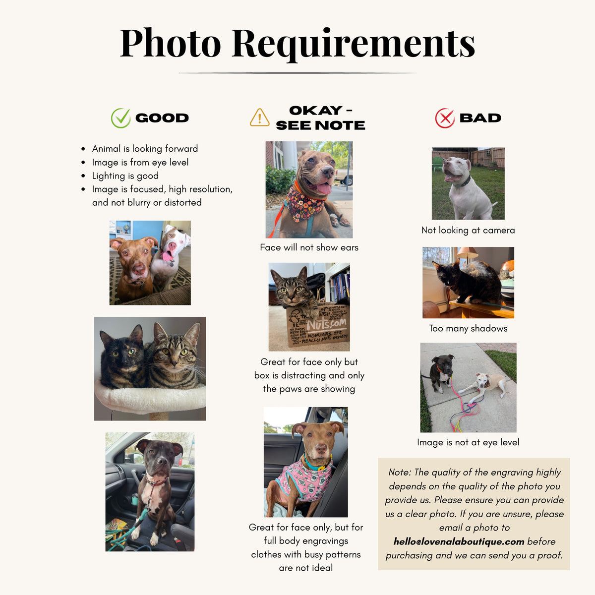 An informational graphic titled 'Photo Requirements' with three columns showing good, okay-see-note, and bad photo examples with photos of cats and a dog, plus bullet points about animal-facing photography standards.