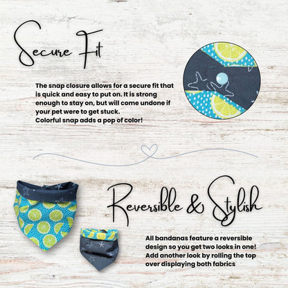 Coastal pet bandana with text highlighting the secure snap closure and the reversible style.  text explains the secure fit of the bandana with its snap closure, and its reversible feature