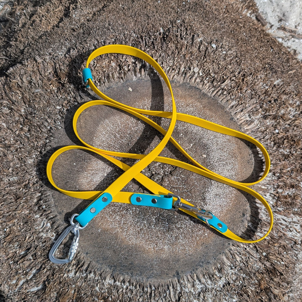 Yellow dog leash with teal accents lying on a palm tree stump at a beach in St Petersburg Florida