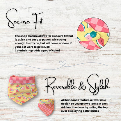 Reversible bandana with colorful design on a wooden surface, featuring text about secure fit and reversibility.  text explains the secure fit of the bandana with its snap closure, and its reversible feature